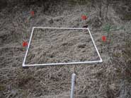False Brome Workshop Post-Treatment