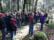 False Brome Workshop Presentation