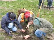 Greenbelt Land Trust Planting