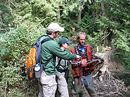 Invasive Weeds:  Early Detection Rapid Response 