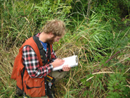 Invasive Weeds:  Early Detection Rapid Response