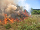 Community Wildfire Protection Plans